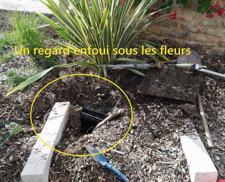 Un regard enfoui sous la haie